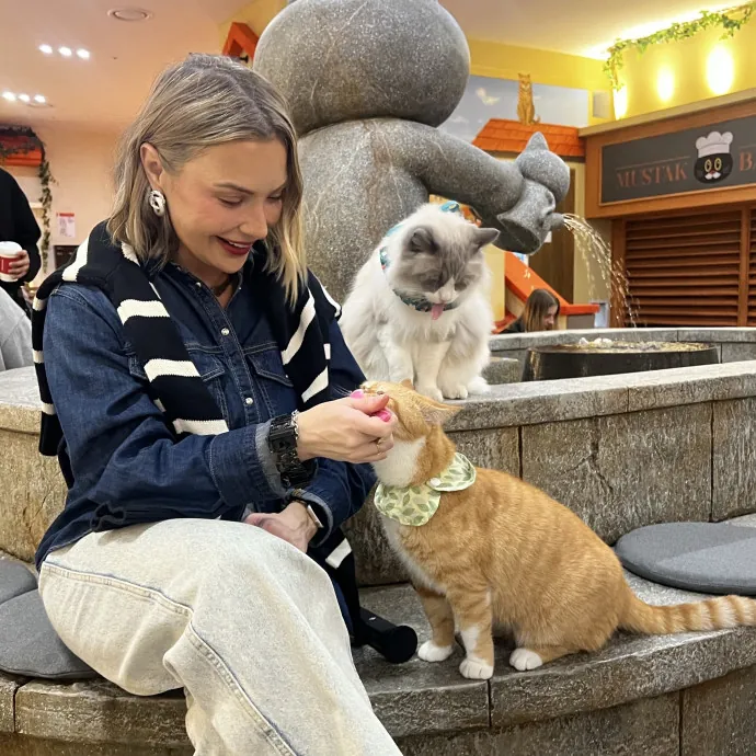Your Cat's New Bestie 