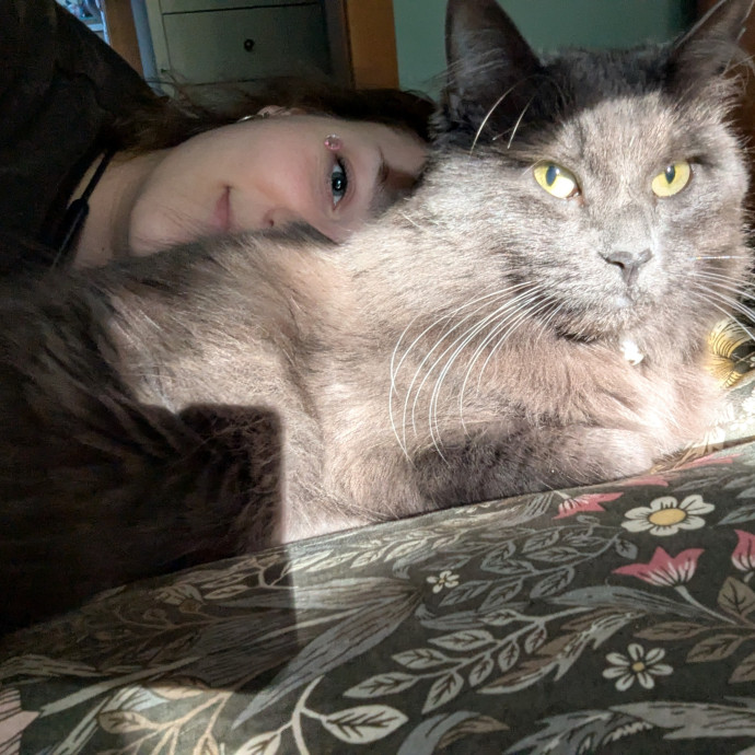 Lifelong Cat Lover Here To Help photo 2