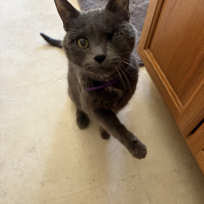 Wisconsin Whisker Watch
