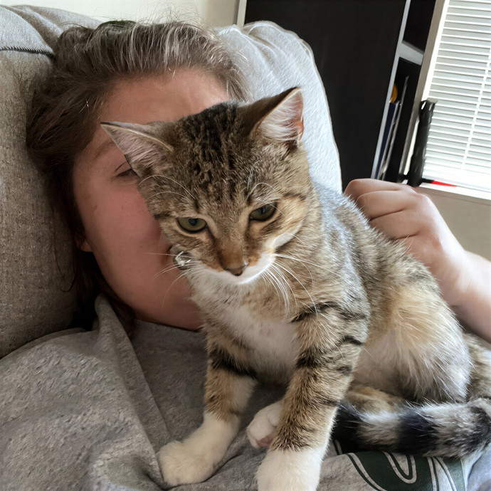 Jane's Dmv Cat Care