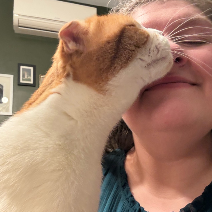 Jane's Dmv Cat Care photo 2