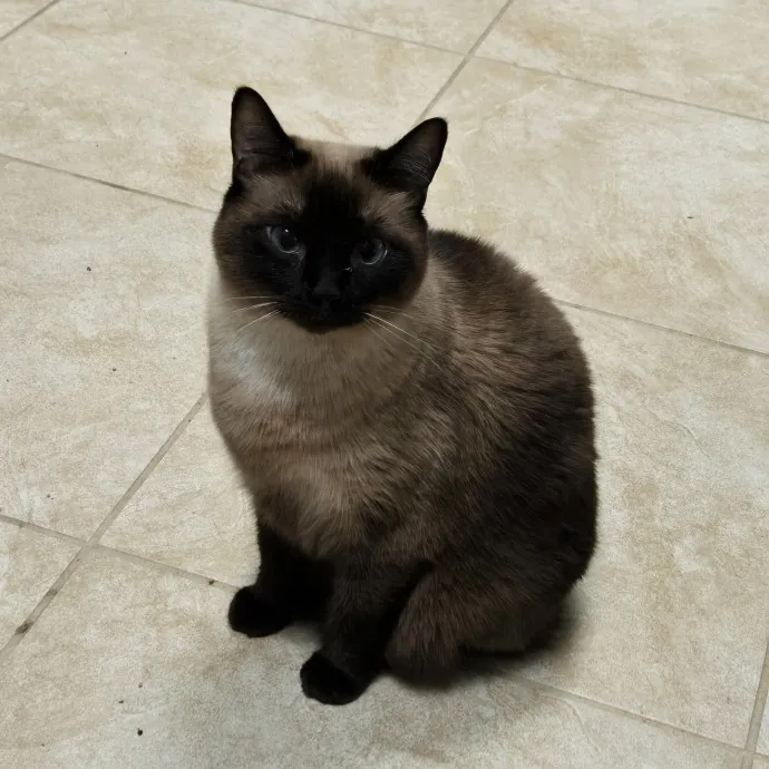 Cat Lover Extraordinaire