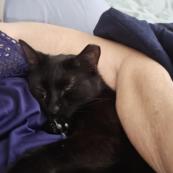 Cat Lover Extraordinaire