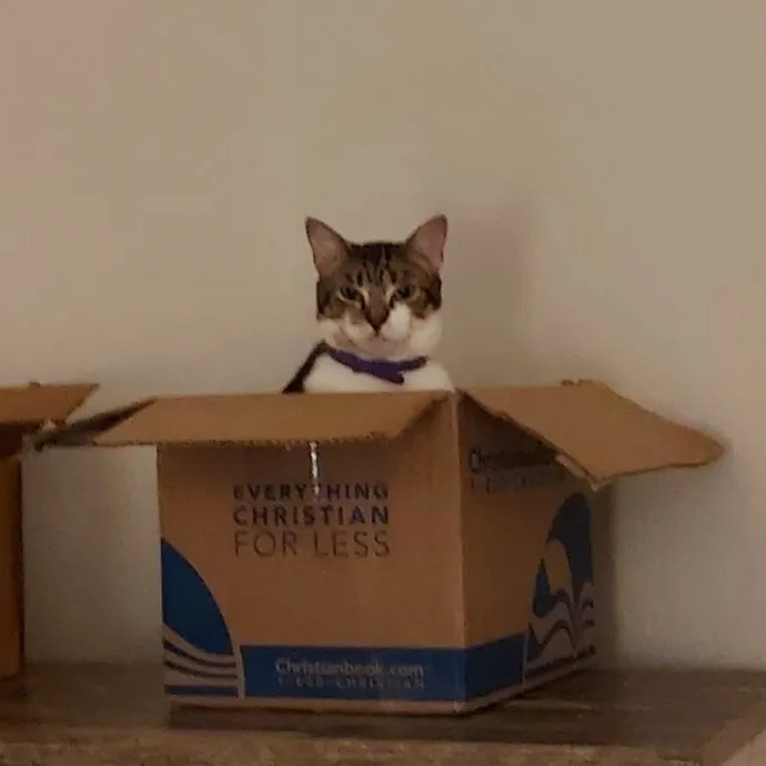 Cat Lover Extraordinaire