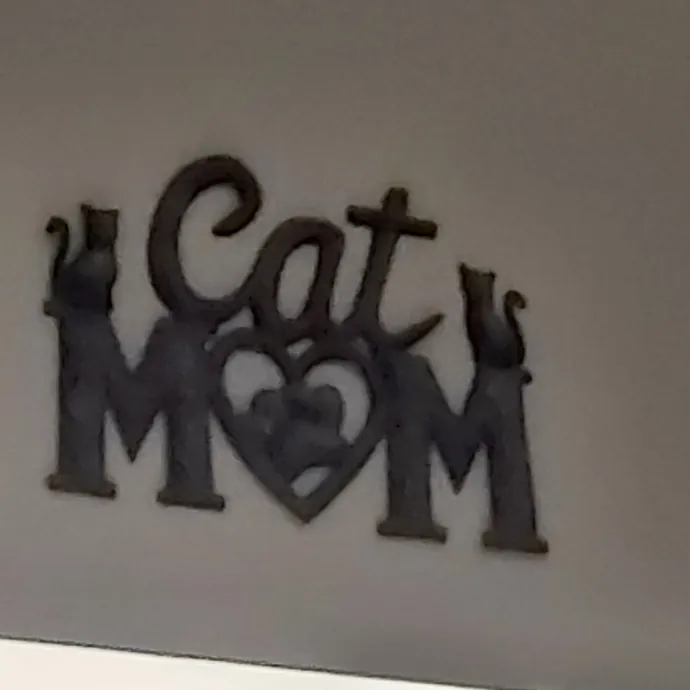 Cat Lover Extraordinaire