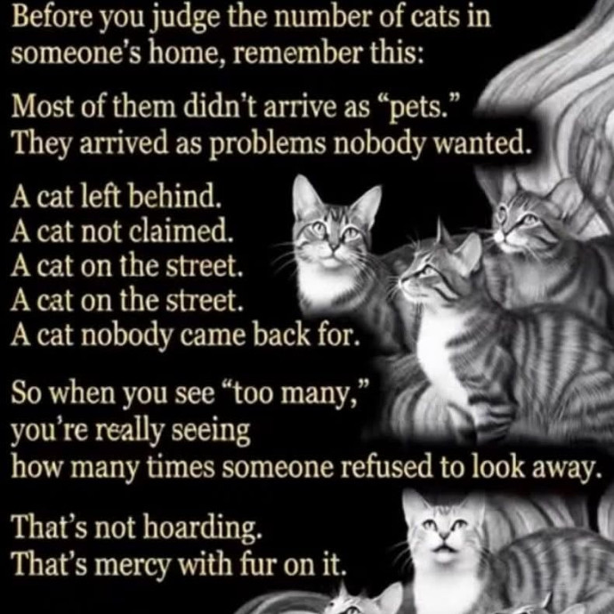 Cat Lover Extraordinaire