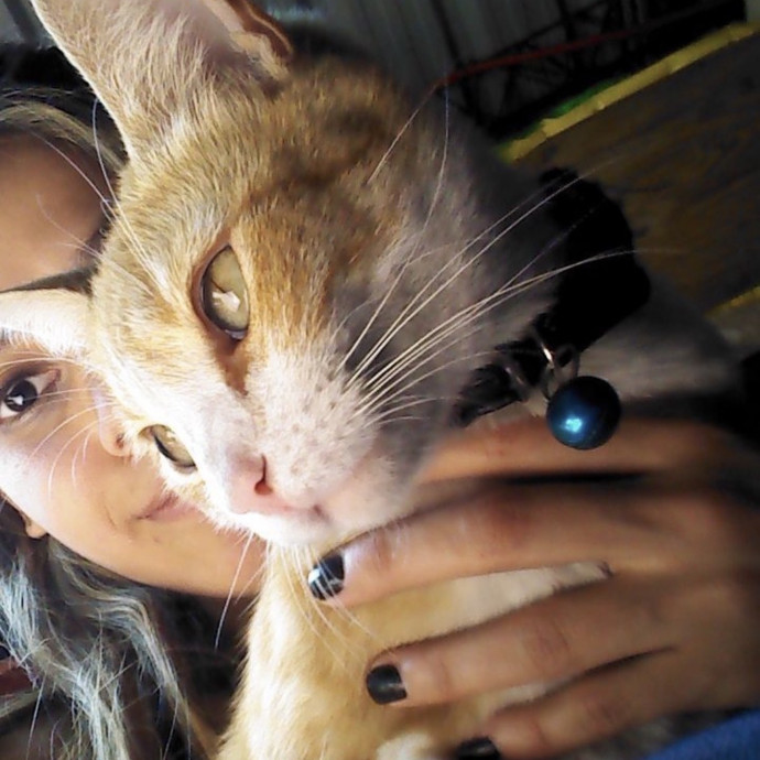 Cat Lover  Expert In Kitty Cuddles photo 3