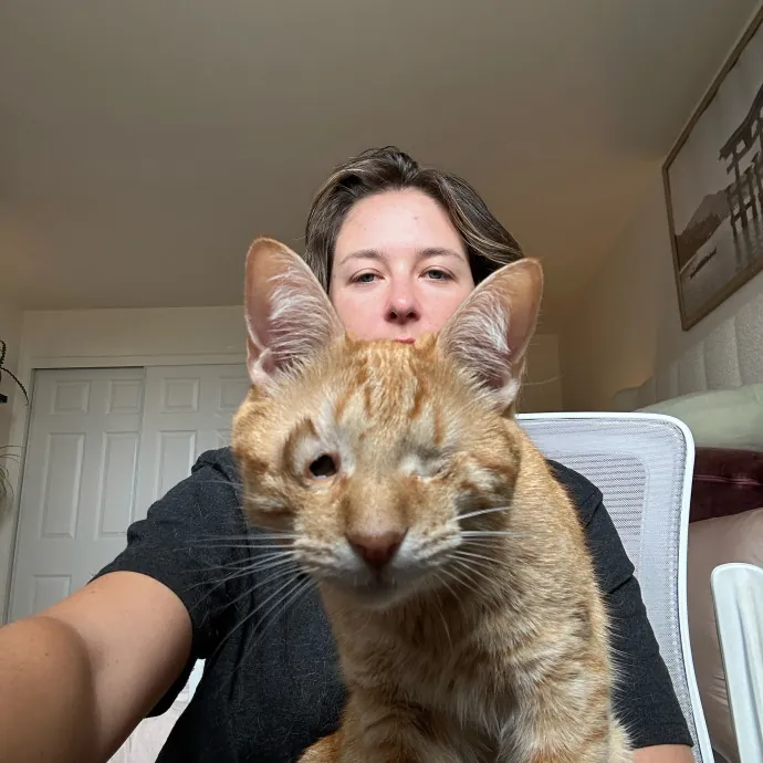 Fur Baby Love And Attention