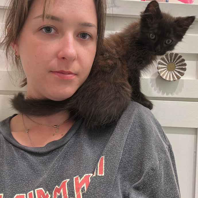 Fur Baby Love And Attention