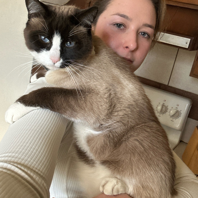 Fur Baby Love And Attention