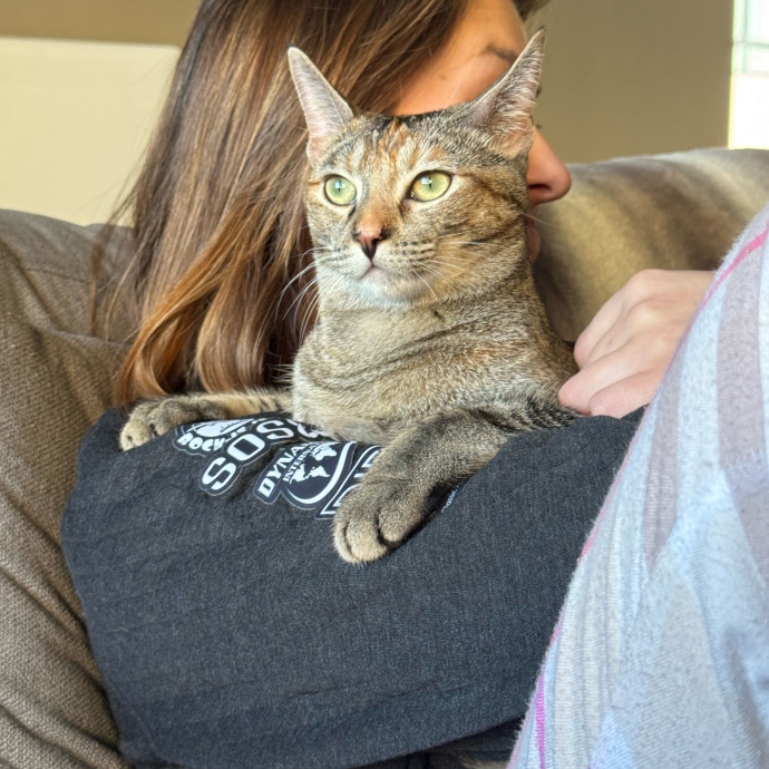 Fur Baby Love And Attention