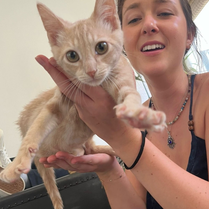 Fur Baby Love And Attention