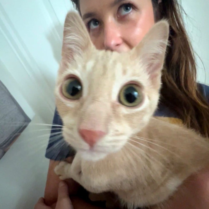Fur Baby Love And Attention photo 3