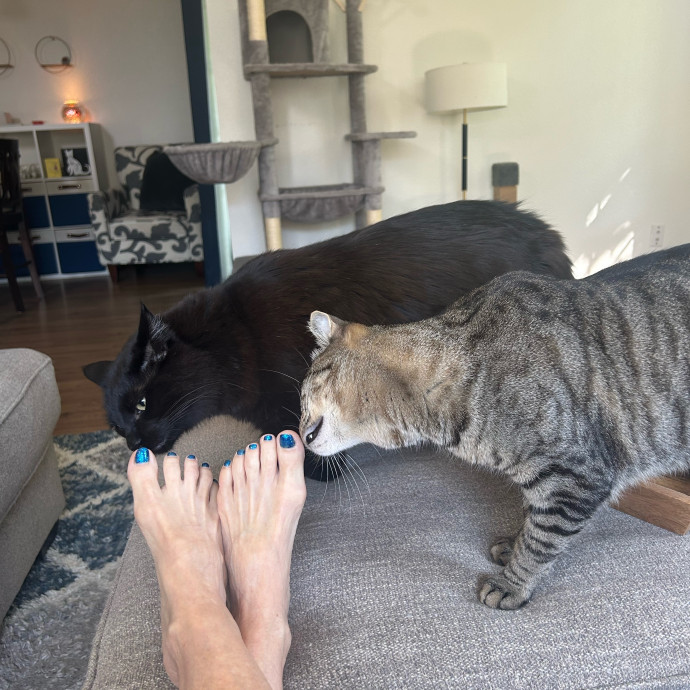 Cat Mom photo 3