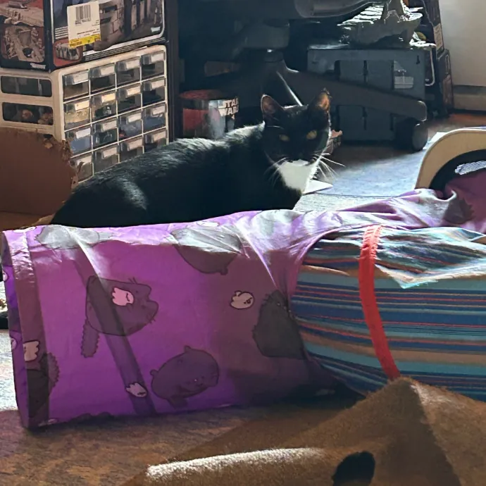 It's All In The Cat-Titude