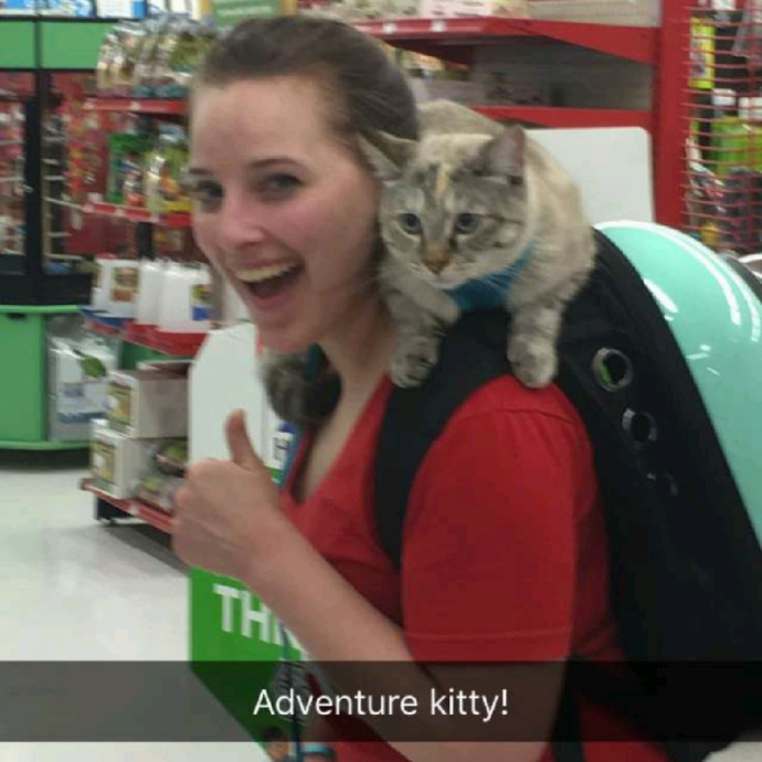 Sydel The Kitty Auntie