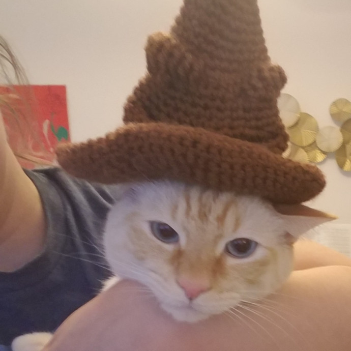 Sydel The Kitty Auntie