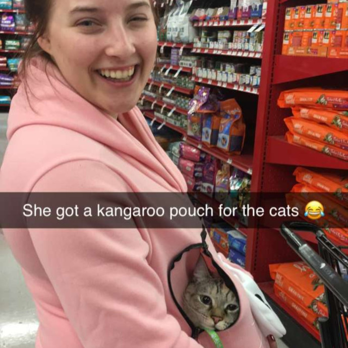 Sydel The Kitty Auntie