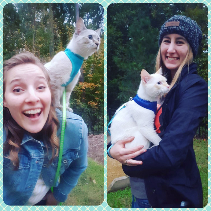 Sydel The Kitty Auntie