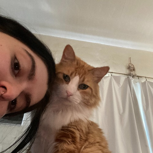 Purr-Fectly Karly - The Cat Whisperer Extraordinaire