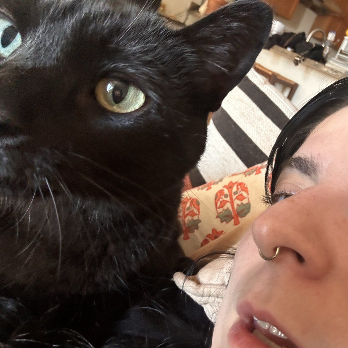 Purr-Fectly Karly - The Cat Whisperer Extraordinaire photo 2