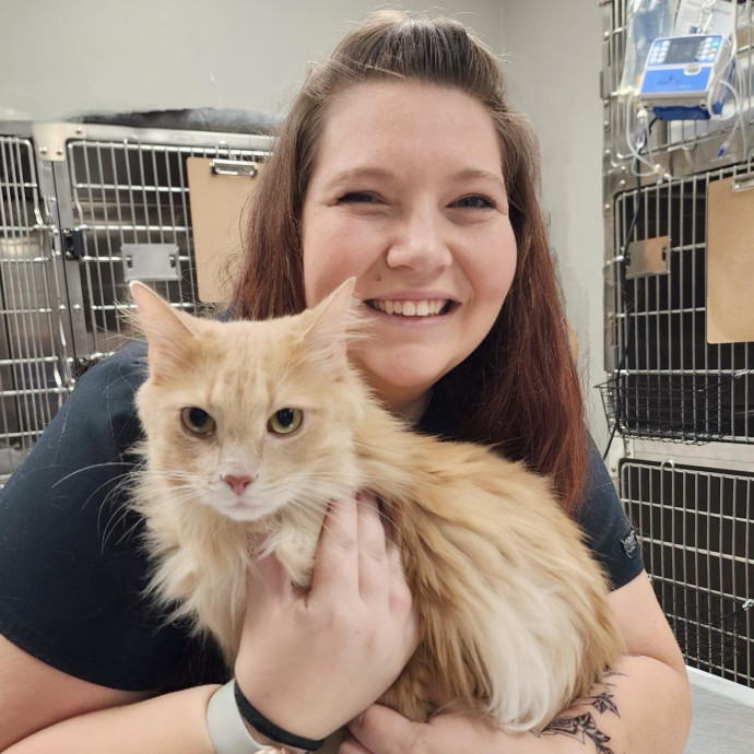 Kristin's Kitty Care photo 2