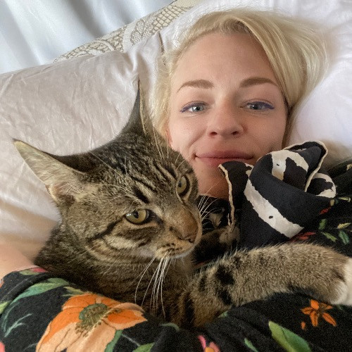 Artist Cat Lover The Purrfect Sitter