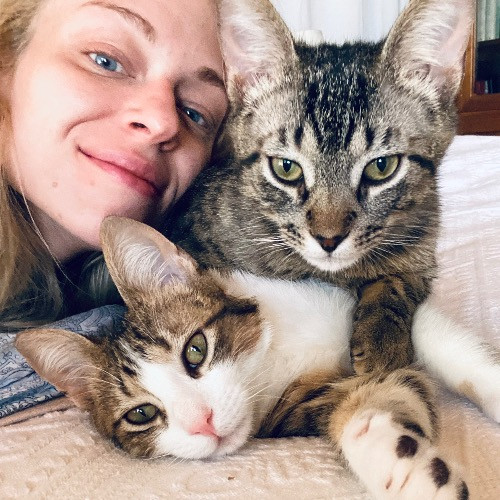 Artist Cat Lover The Purrfect Sitter
