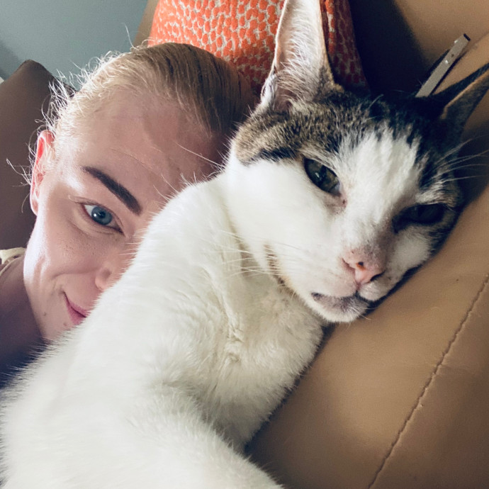 Artist Cat Lover The Purrfect Sitter