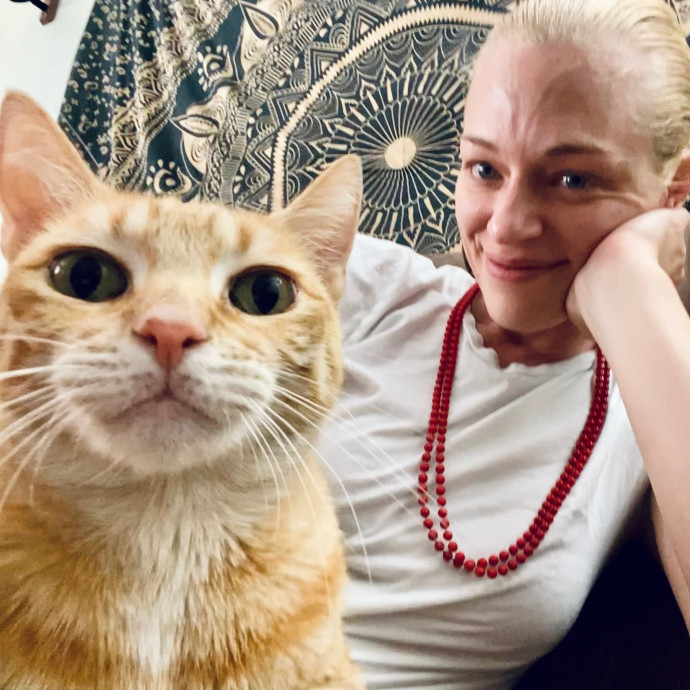Artist Cat Lover The Purrfect Sitter