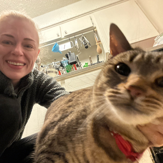 Artist Cat Lover The Purrfect Sitter