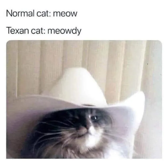 Artist Cat Lover The Purrfect Sitter