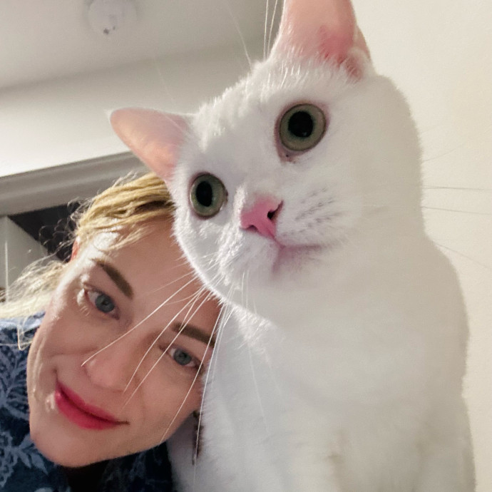 Artist Cat Lover The Purrfect Sitter
