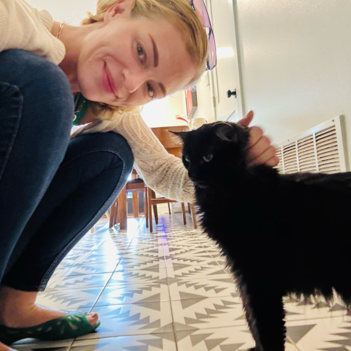 Artist Cat Lover The Purrfect Sitter
