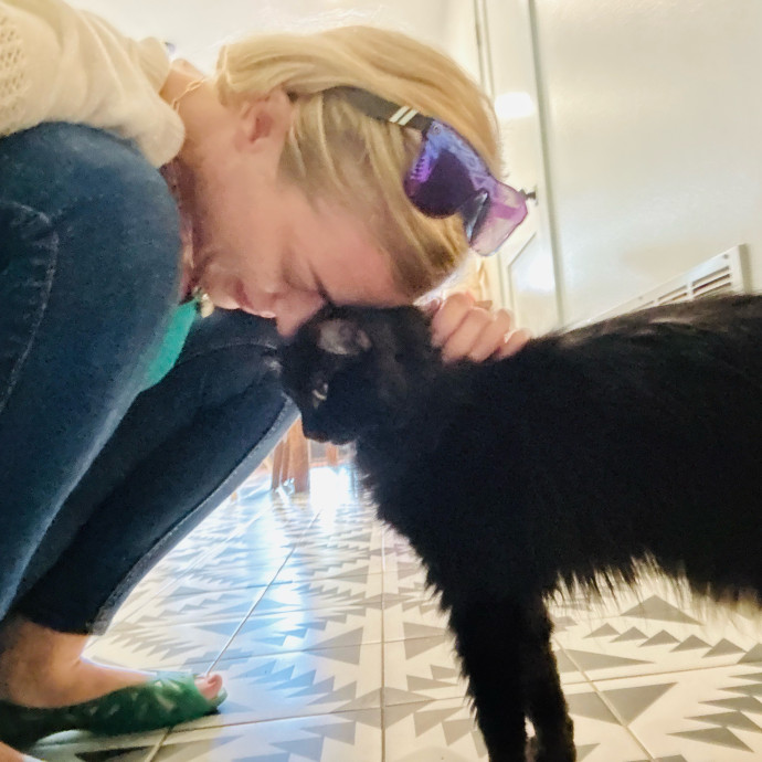 Artist Cat Lover The Purrfect Sitter