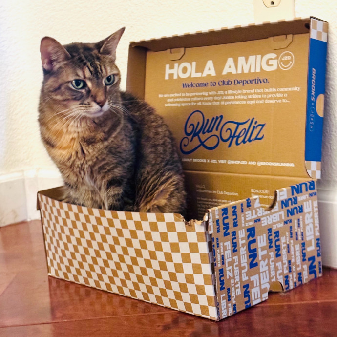 Artist Cat Lover The Purrfect Sitter