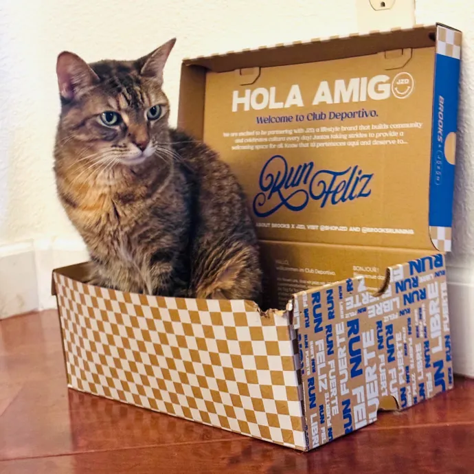 Artist Cat Lover The Purrfect Sitter