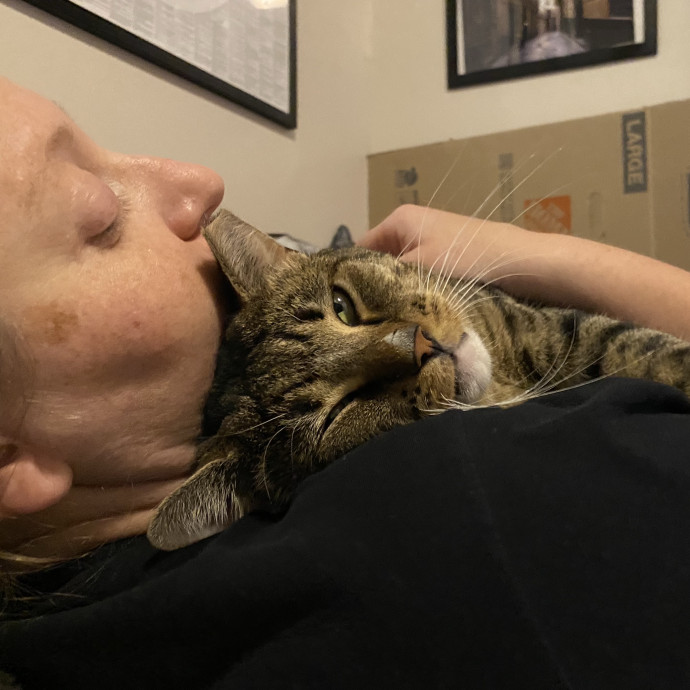 Caring Sitter W Medical Expertise