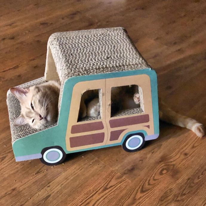 Reliable  Trustworthy Cat Lover