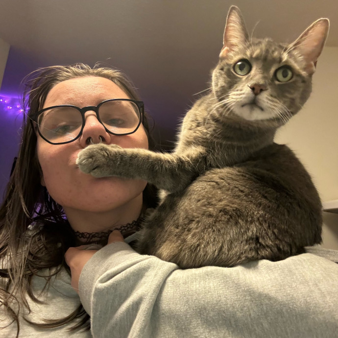 Kitty's Korner