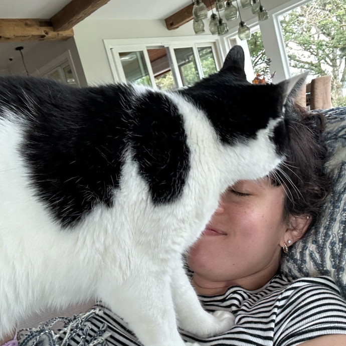 Mary Meow Minneapolis Kitty Kare