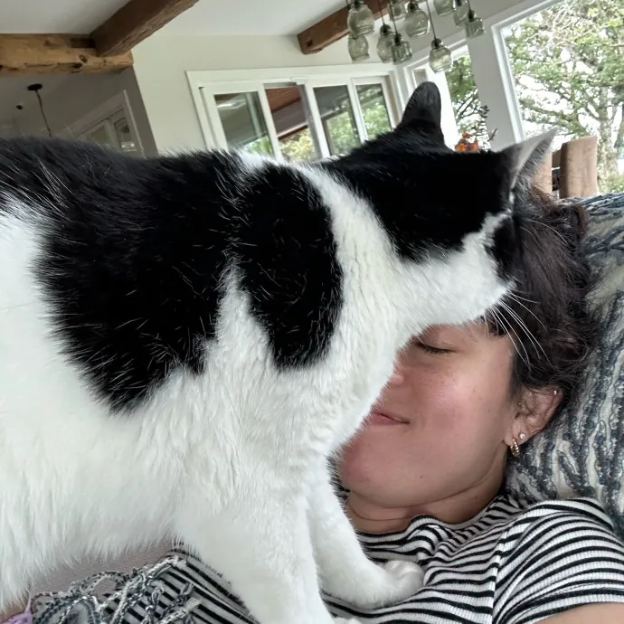 Mary Meow Minneapolis Kitty Kare