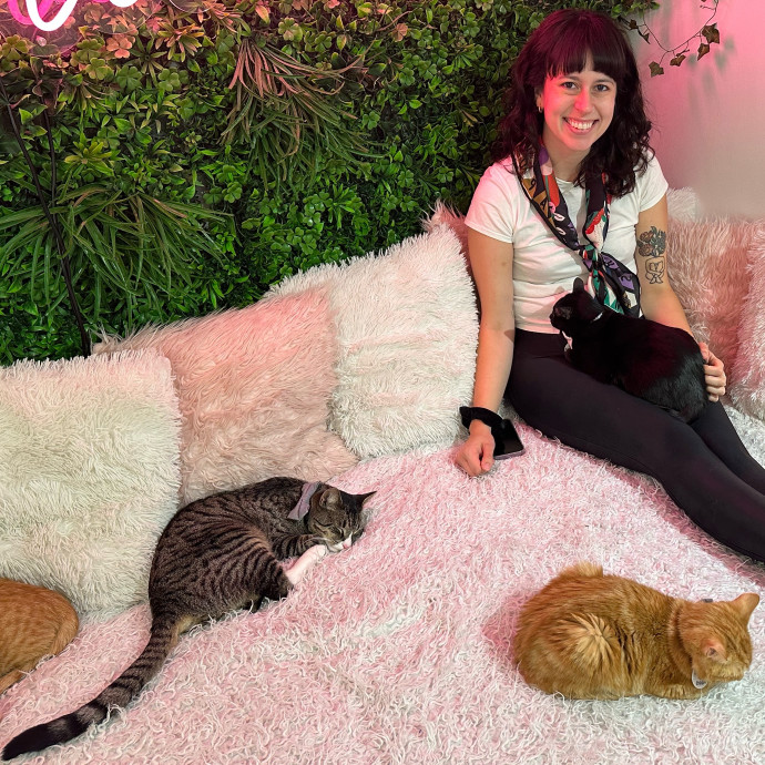 Mary Meow Minneapolis Kitty Kare