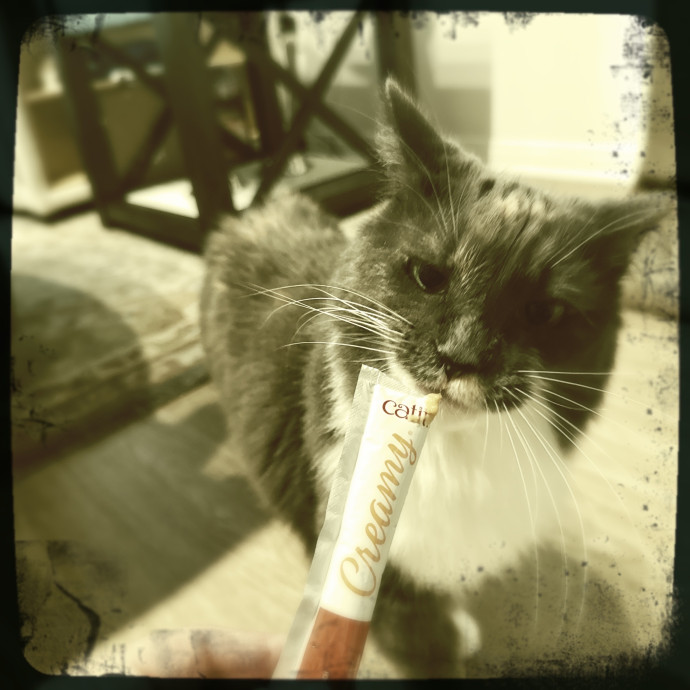 Cats Rule Everything Around Me