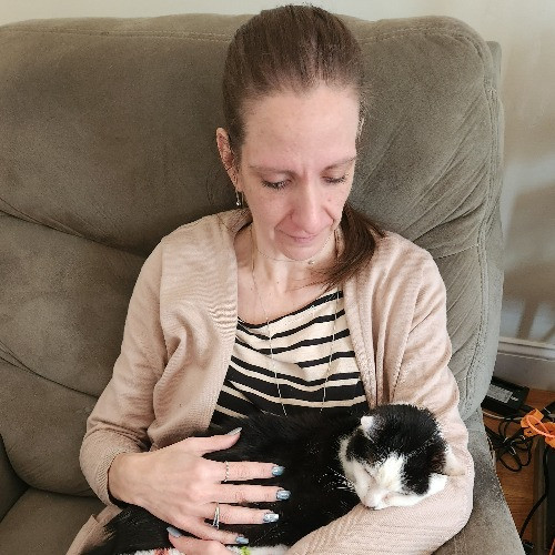 5-Star Shelter-Volunteer Cat Sitter