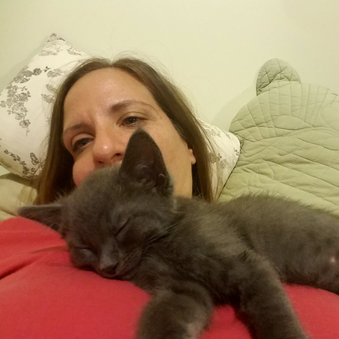 5-Star Shelter-Volunteer Cat Sitter