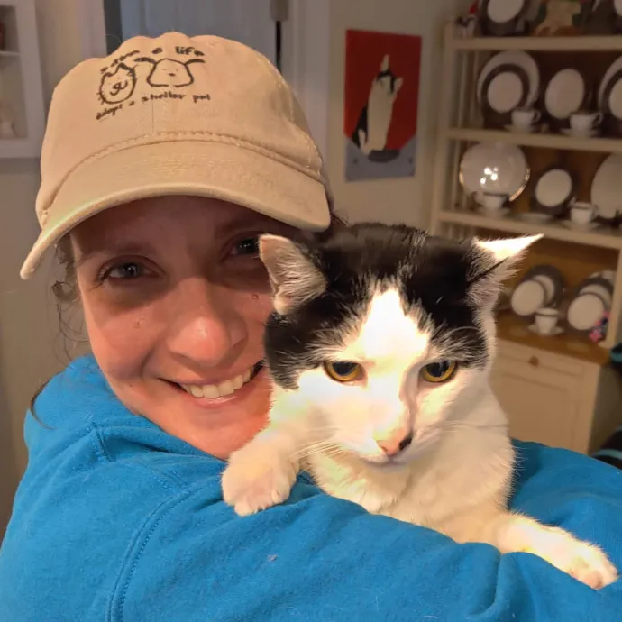 5-Star Shelter-Volunteer Cat Sitter