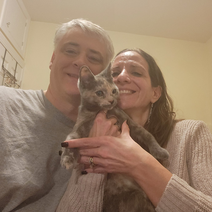 5-Star Shelter-Volunteer Cat Sitter