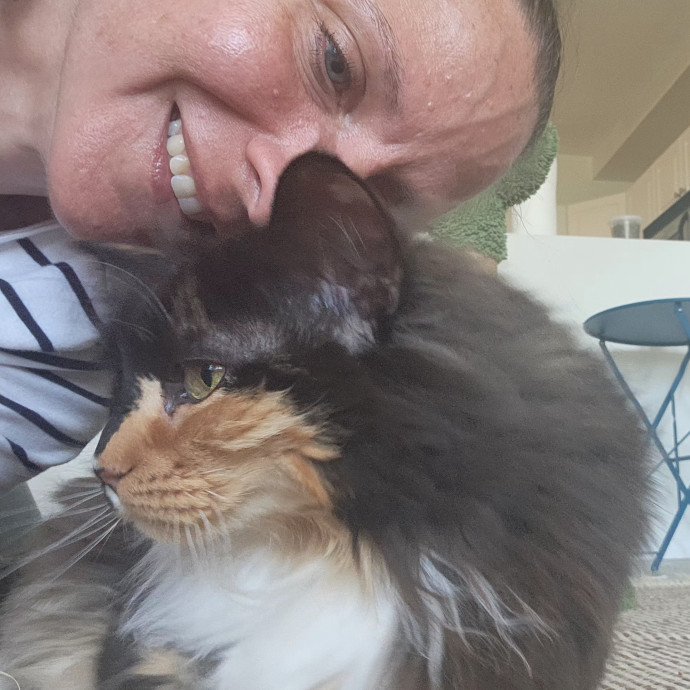5-Star Shelter-Volunteer Cat Sitter