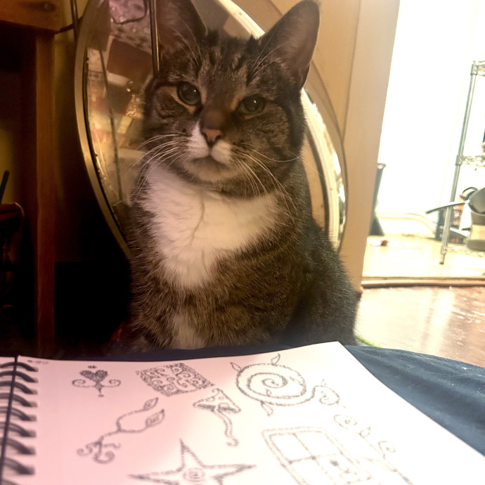 Skye Kaleta - Friend To All Felines photo 2